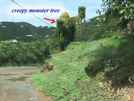 monster tree